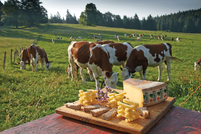 ambiance_degustation_champetre_2013_avec_vaches-cigc_jean_pierre_van_der_elst.gif